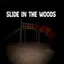Slide in the Woods game cover image